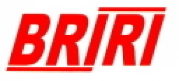 Briri Logo 26x10 mm WAF