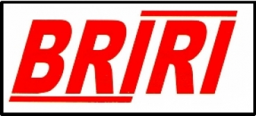 Briri Logo 13,5x6 mm mit Rahmen WAF