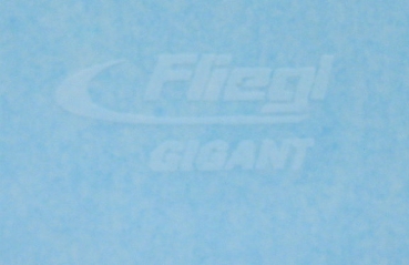 Fliegl Gigant 11x6 mm Weiß auf WAF
