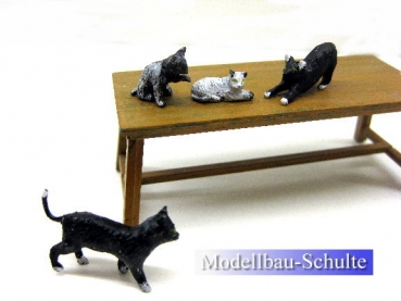 Hofkatzen im Set mit 4 Tieren