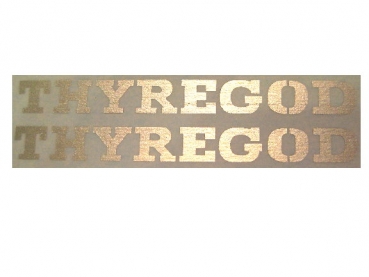 "THYREGOD" Schriftzug 48x5 mm Silber auf WAF