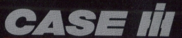 Case Logo mit Schriftzug Silber 32x6 mm