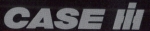 Case Logo mit Schriftzug Silber 25x4 mm